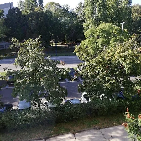 Vanja * Belgrade